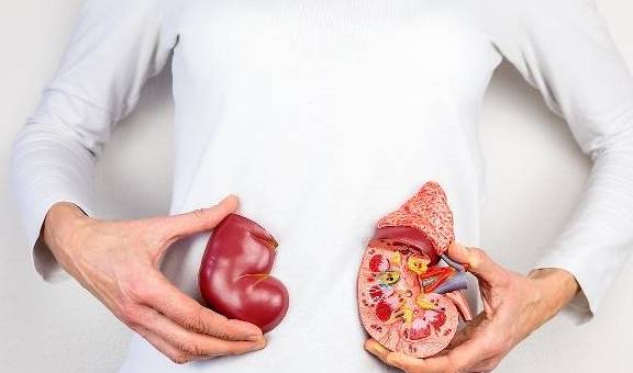 肾脏|肾功能下降也有“警报”,出现4种症状,可能在衰竭