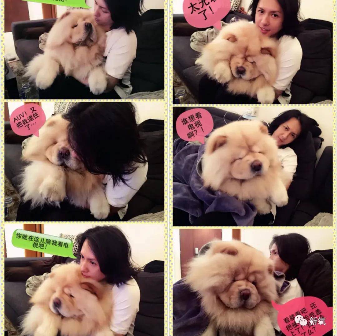 长发|第一次见张柏芝对男人如此把持不住，滚圈冻龄男我好想拥有...