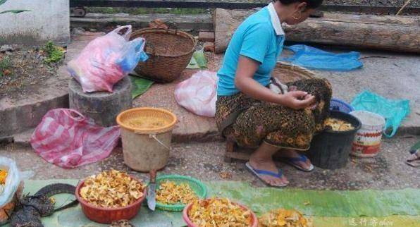 老挝最“全面”的菜市场，只有想不到没有不卖的，游客不敢去
