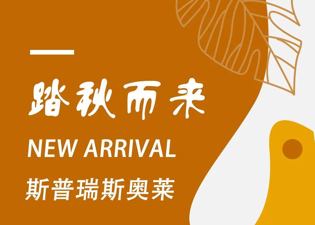 theory|身着THEORY，手拎BALENCIAGA，入秋这样穿，绝了