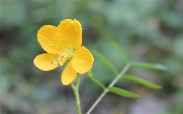 今天8月28日生肖运势 生活