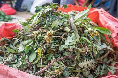 睡眠|做好这几件事在秋季更好的保护自己的肝健康！