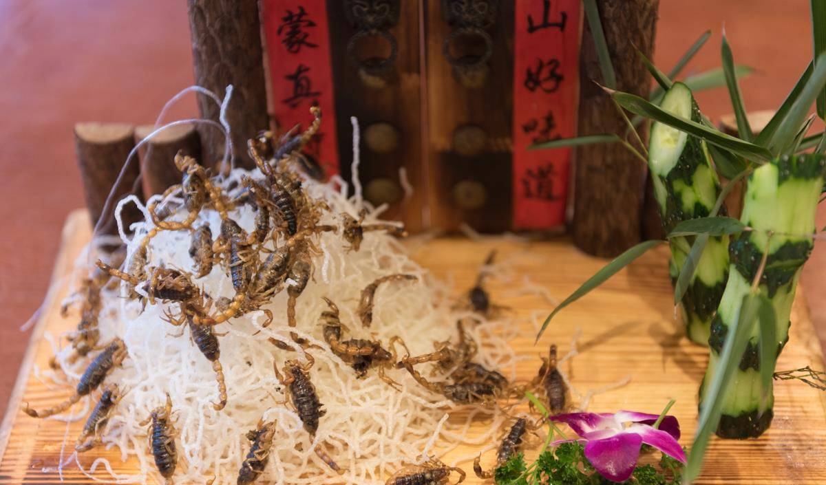 吃蝎子吃兔头，沂蒙山的这些特色美食你见过吗？