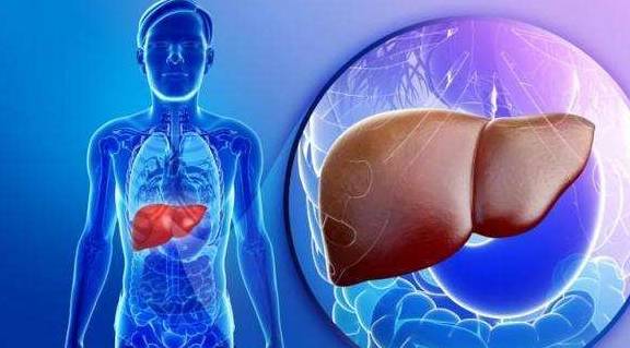 人体|肝不好的人，最忌讳做这5件事，记住4个字，让肝越来越好