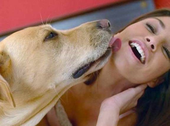 小孩子|如今越来越多人饲养金毛,这5点也许就是原因!