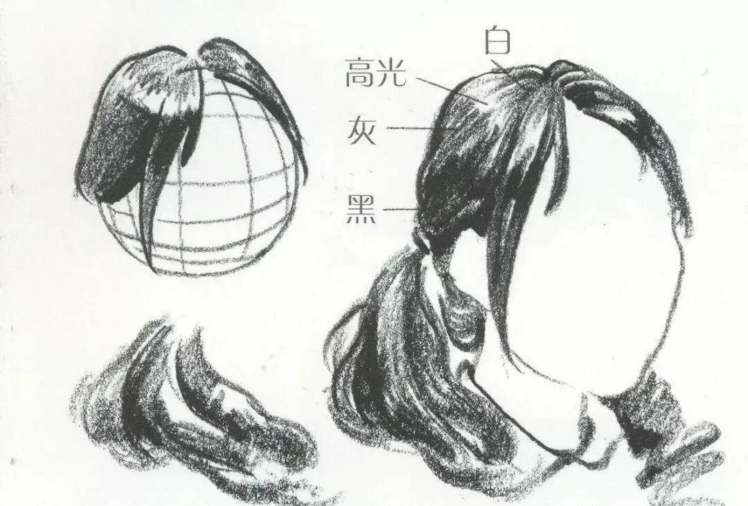 发型|美术速写技巧篇：头部头发的五大刻画要点