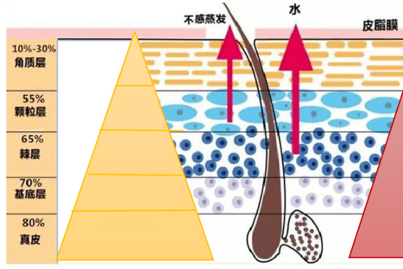 夏天|扒一扒佰花方补水喷雾，真的可以满足日常补水保湿吗？？