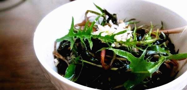 婆婆丁是什么蔬菜 f1fde8eeeb804f3790ee414cfbcc765c.jpeg