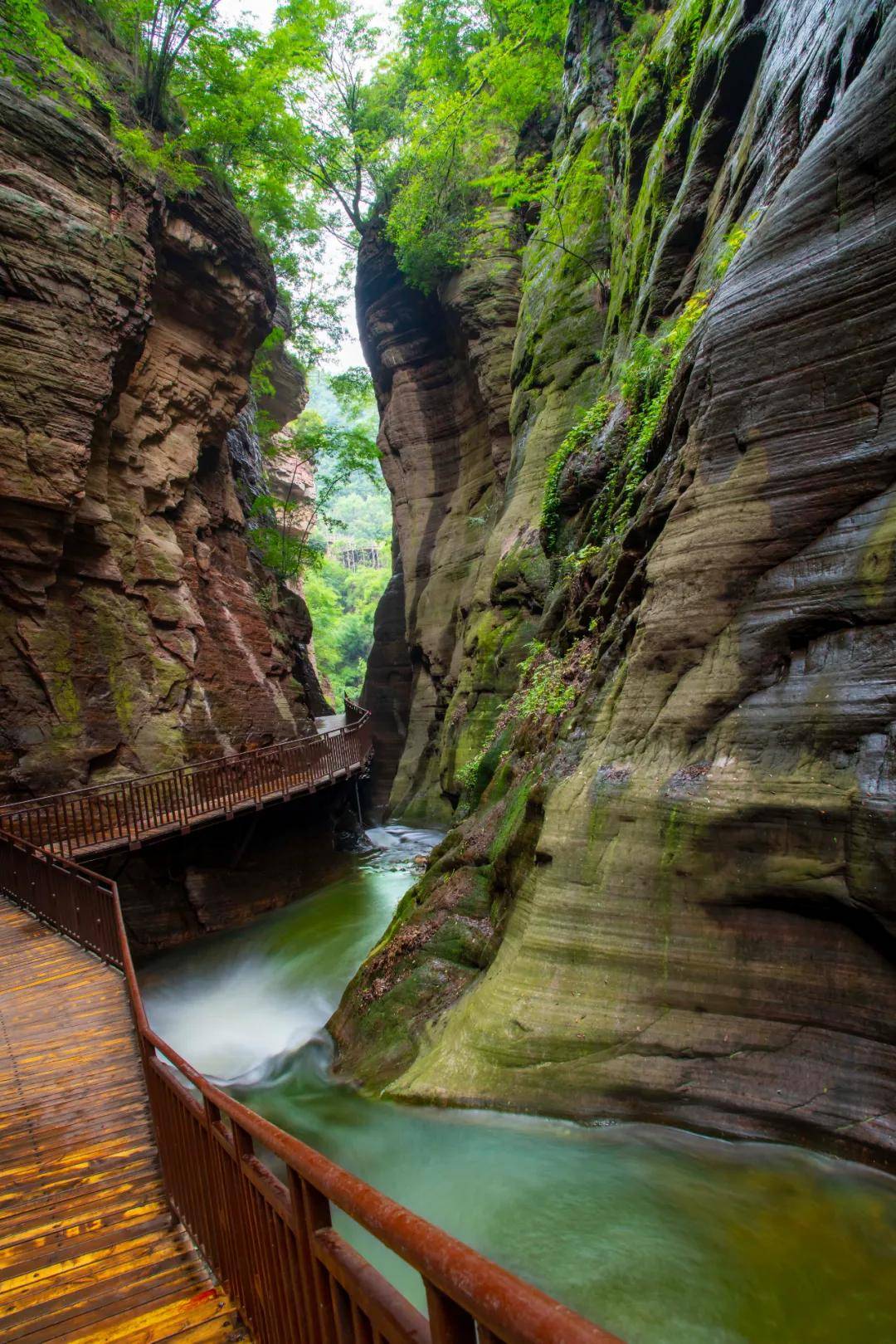 徐文波 摄 △图源:洛阳龙潭大峡谷景区 △图源:洛阳白云山