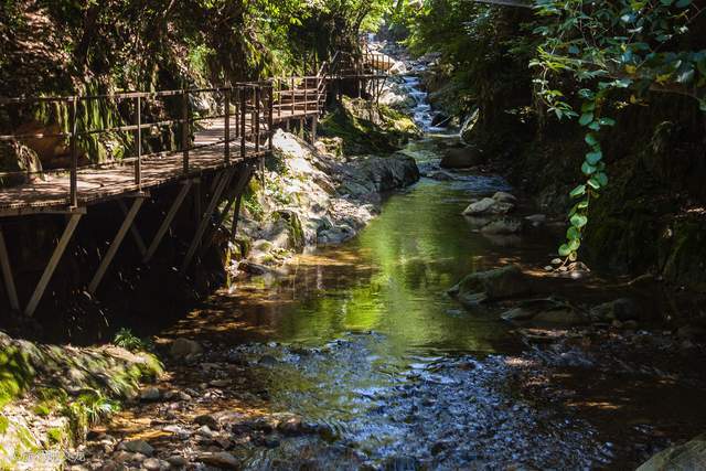 原创游客喜欢的石台县醉山野景区,体验了乡村旅游,天然氧吧的清新感