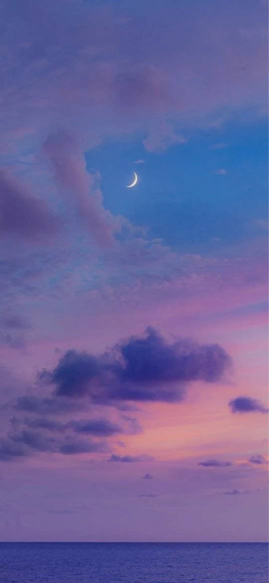 岑溪|三本完结文!飒气娇美的岑昔vs撩人宠妻的陆影帝