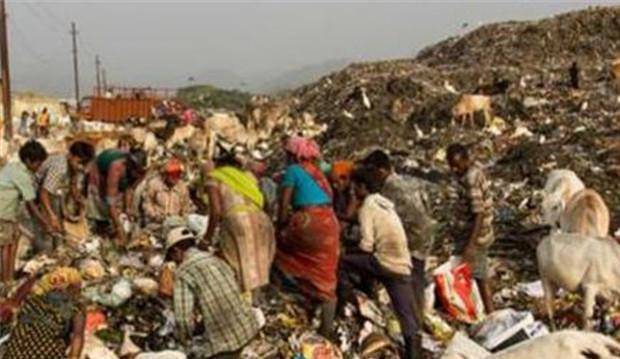 印度垃圾场养活着拾荒者和鸟，为何他们宁愿捡垃圾也不愿意吃它们