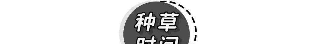 身材|阔腿裤下岗了!“瘦瘦裤”才是今夏王炸,太显瘦了!