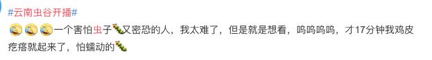 原班人马|《云南虫谷》开播：电影画质氛围感超绝，网友直呼又怕又想看