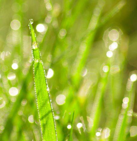 五行中水生木好吗 85b7f886a93f48dcb0456b3ec56c692d.jpeg