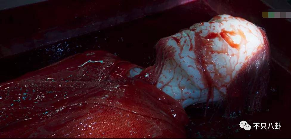 祭司干尸的面具下,是一张血腥粘稠的惨败死人脸;血红色干尸慢慢从棺材