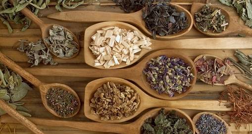 婆婆丁是什么中药 59210e2dc2444ba5b15383c572cd392d.jpeg