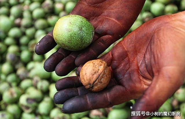 因为|它是童年的零食之一，吃完手后发黑，现在正当季，错过要等明年了