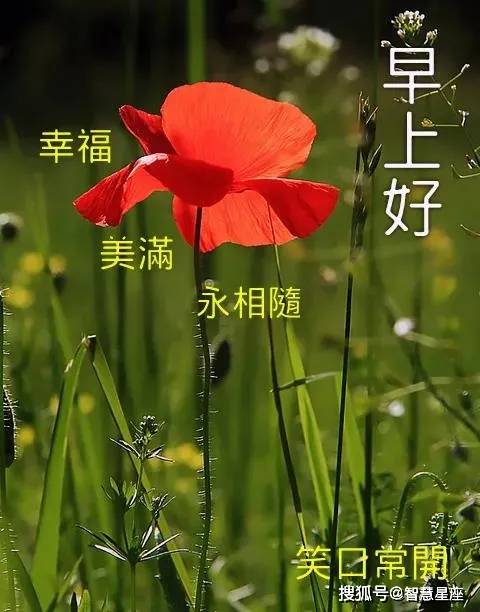 7f9b7651cb034ca3ae8dc08a0655c33c.jpeg