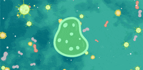 病毒|免疫细胞存储有多重要?看看它与人类健康的8大关系!