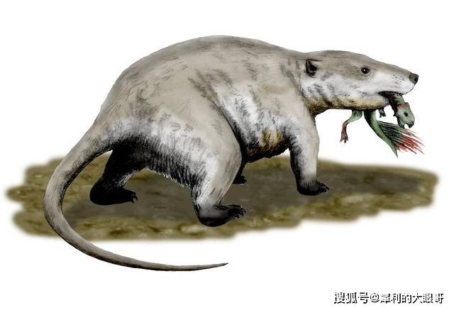 原创兽族永不为奴三尖齿兽建立起反龙根据地爬兽以恐龙为食