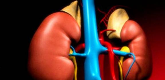 水钠|喝水越多尿越多，多喝水真的会伤到肾脏吗？你真知道？看专家理解