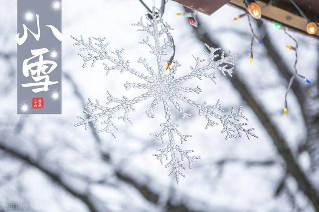 小雪|秋冬季，吃羊肉不如来一锅豆腐煲，解馋下饭，天冷吃暖心又暖胃