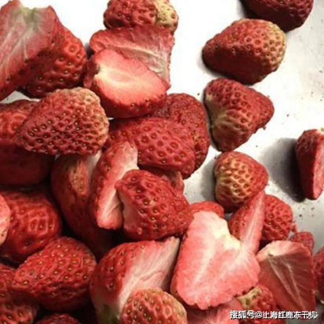冻干草莓干加工原理 草莓冻干机 食品