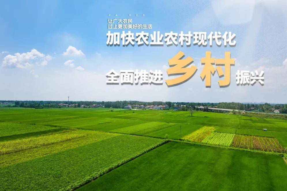 助力优化乡村产业结构,为乡村经济提供新的模式选择