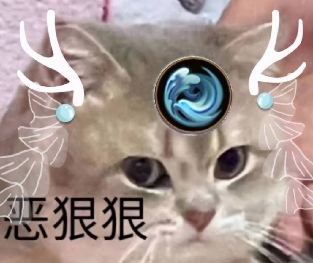 区别于明教吃鸡决赛圈的苟鸡.