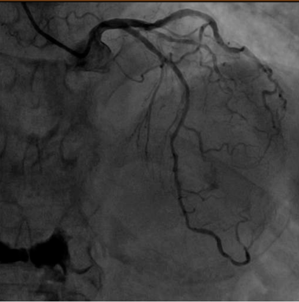 治疗|精准评估，多学科诊疗护佑老年患者健康
