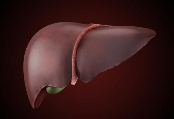 肝脏|身体出现5大警报信号,或是肝脏已受伤!做好6件小事肝脏会变强