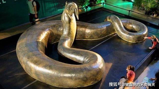 世界上最大的巨兽是哪个 671988f5202d488588349bf371cdeada.jpeg