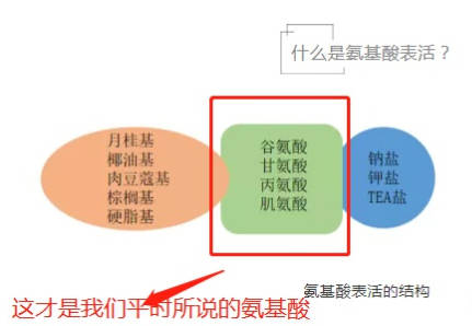 no|氨基酸洗面奶大揭秘！不要再被骗了，真正的氨基酸洗面奶是它们