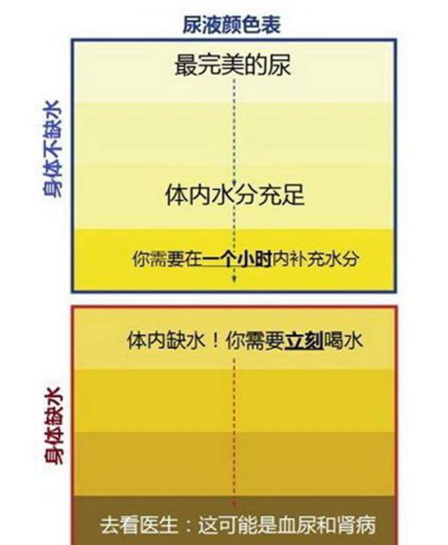 体重|减肥不掉秤的7个常见原因，一篇文章说清楚