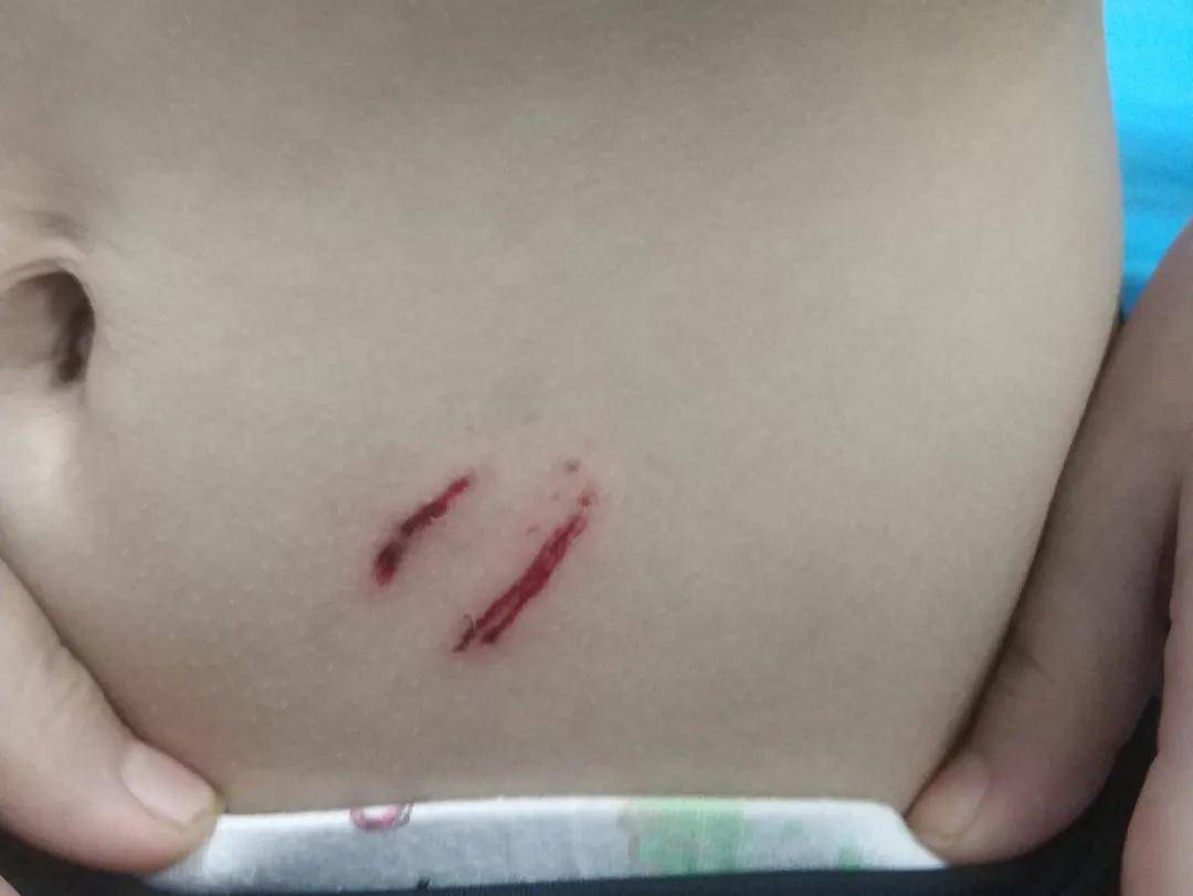 来自搜狐网