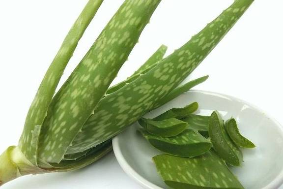 治疗|烧心吃什么马上能缓解，教你治疗烧心的偏方