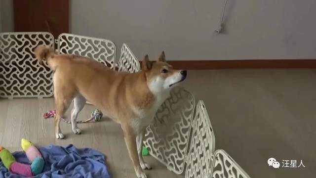 7a015173c1e245b68b142c14b5600301.jpeg