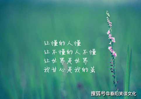 朋友圈點贊最多的精美句子,句句精彩,令人讚不絕口