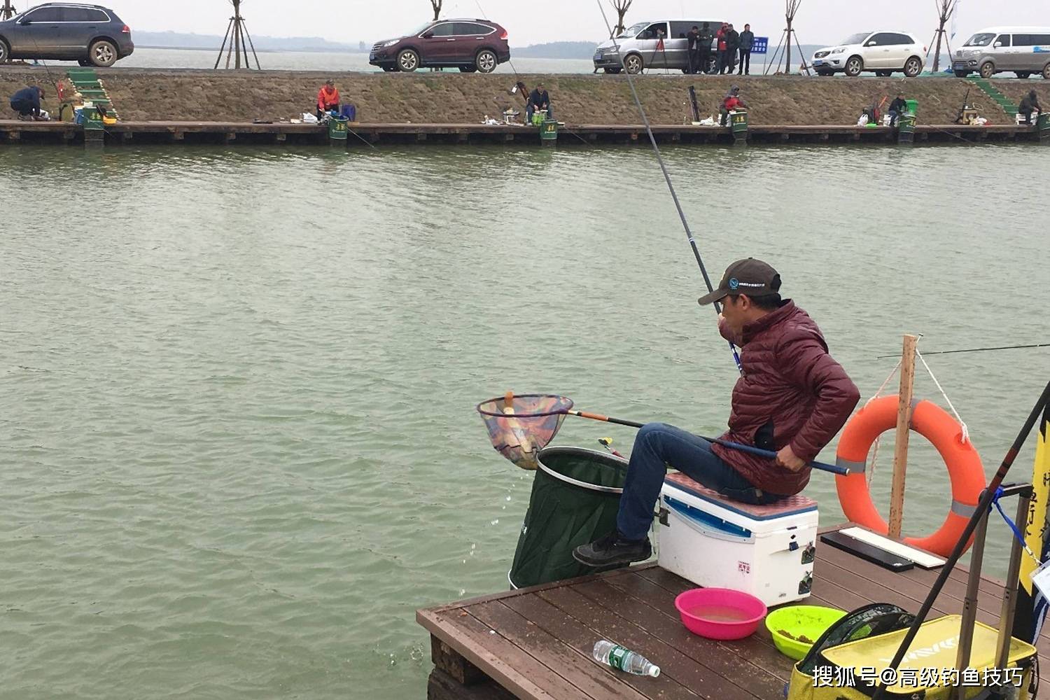 钓黑坑鲤鱼用什么饵料?钓黑坑鲤鱼的技巧