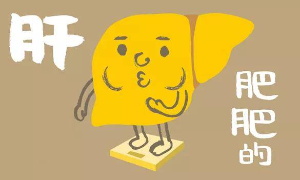 肝脏|乙肝合并脂肪肝恐至肝癌，需高度重视！