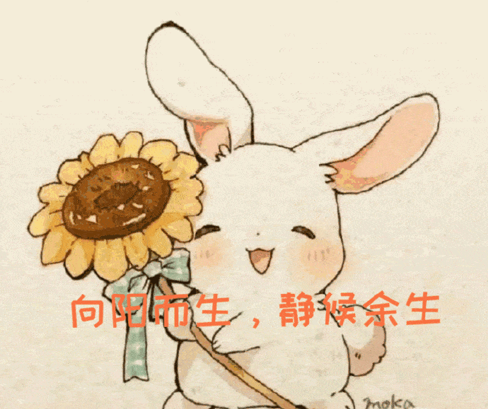 余生延播或内含三点深意!_调整