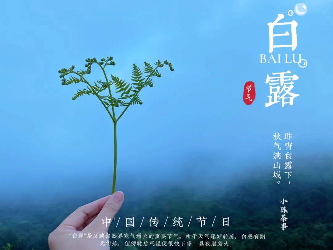 蒹葭苍苍简谱_蒹葭苍苍(2)