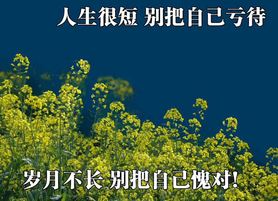 原創最美新版漂亮早上好的表情包大全新版朋友圈早上好祝福語錄