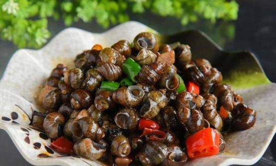 18f0c2ec60904091bfe04cff0d214e54.jpeg