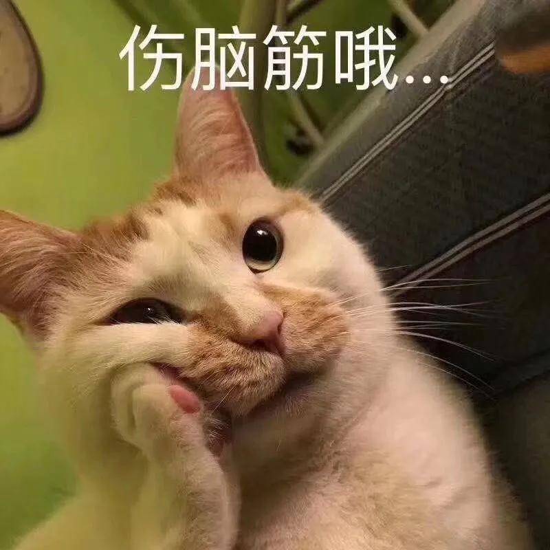 效果|孔雪儿怎么肿成这样？这是填充失败了吗？！