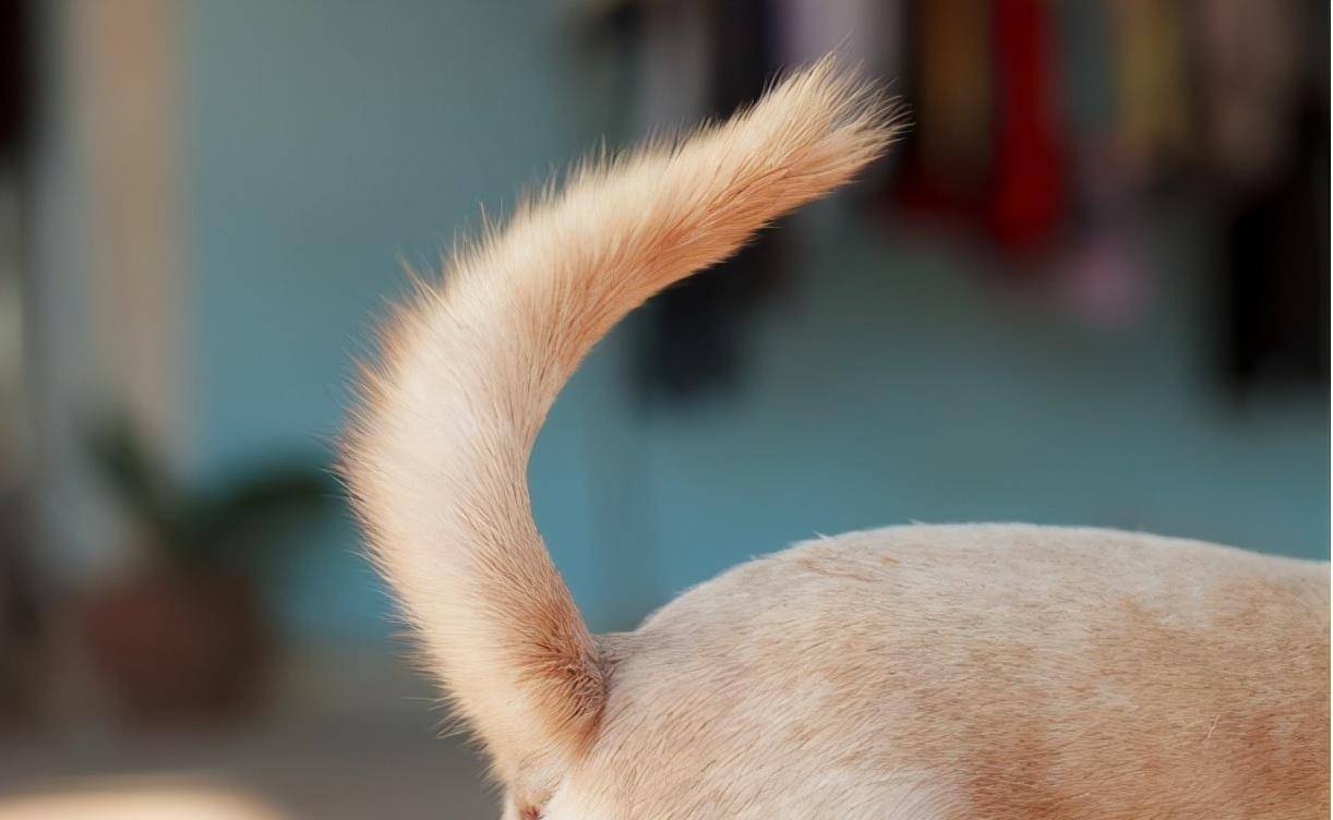 6c0054ee9a964a77abc70997308601b3.jpeg