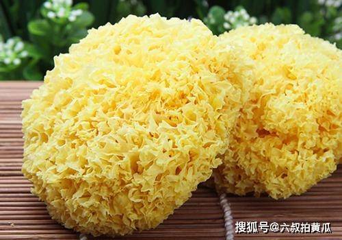 银耳煮多久不粘稠 7d4048b851f14a9f852456d536d35495.jpeg