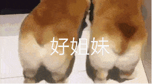 技能|上班族没时间照顾狗狗？狗狗也能上幼儿园啦