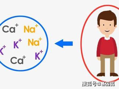 renal|健康科普：血液透析那些事儿